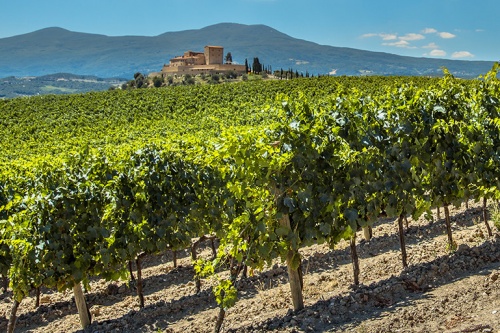Taste The Fine Wine Of The Bordeaux Region With Air Canada's New Seasonal Service From Montreal